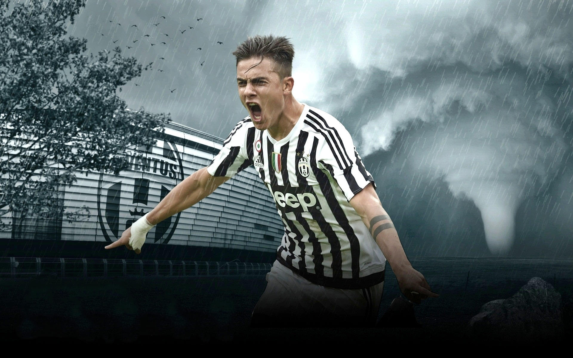 分配能力能 分配能力能